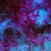 Avatar amanda_a