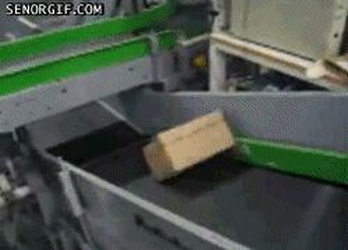 4417523-tL4dz.jpg