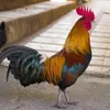 Avatar galodoidobh