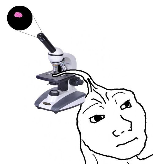 3453356-92aVx.jpg