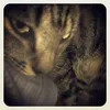 Avatar andressousas