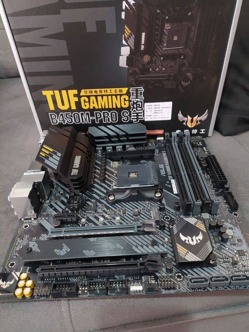 7280592.jpg