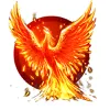 Avatar fabio.phoenix