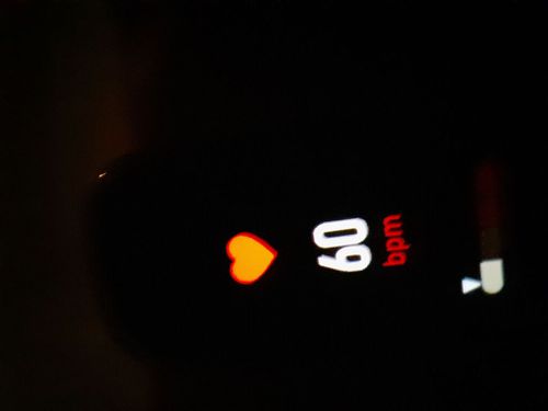 6521892.jpg