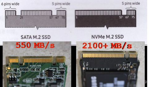 5211847-niuZ2.jpg