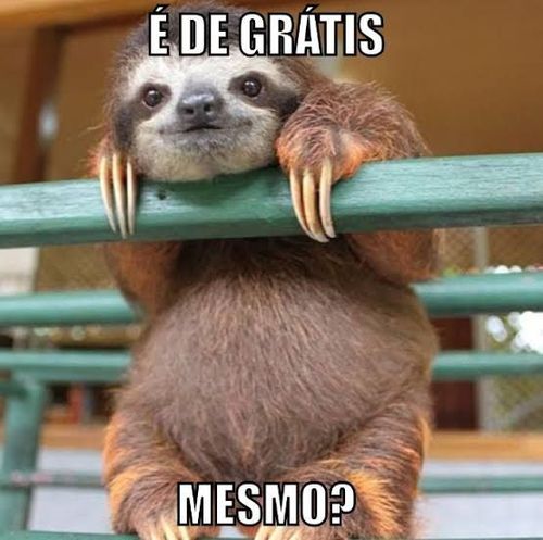 3848442-Q9FhY.jpg