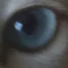 Avatar jorge_douglas