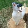 Avatar pointwo