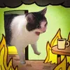 Avatar peluci