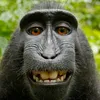 Avatar fafisfatuliza