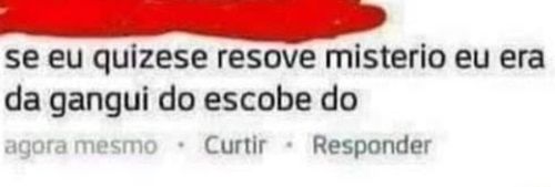 Imagem do comentário