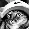 Avatar andezzgamer