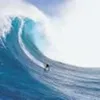 Avatar renato_morenotakakura