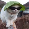 Avatar lukky