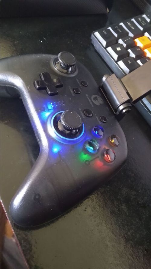 6509495.jpg