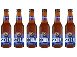 [C. Ouro] Cerveja Eisenbahn American IPA Puro Malte