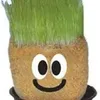 Avatar xuletus