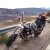 Avatar geisondart