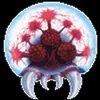 Avatar valeriomaximus_