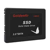 SSD Goldenfir Sata 1TB