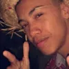 Avatar guilhermed__