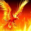 Avatar cpd