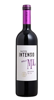 Vinho Salton Intenso Merlot Salton Abbuoto