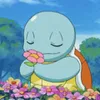 Avatar squirtle