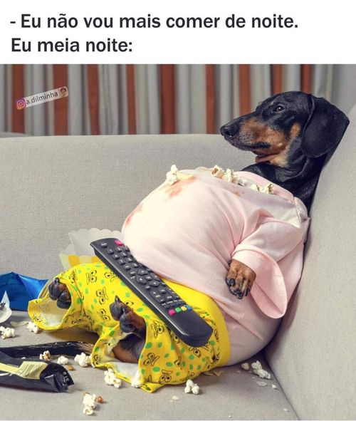 6934163.jpg