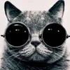 Avatar paulo_fidelis_dev_awhn