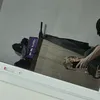 seu_igor