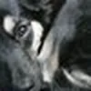Avatar raryannefreitas1