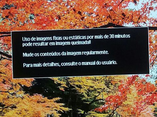 5128793-Egolz.jpg