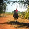 Avatar robson_queiroz