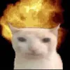 Avatar marteiv