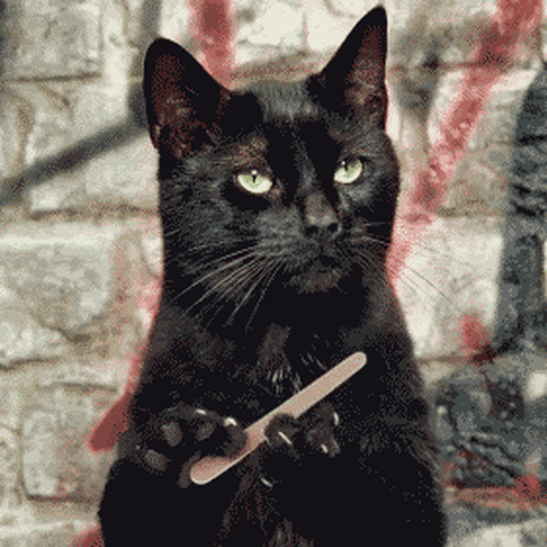 nail-cat[1].gif
