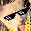 Avatar igorlopesm