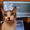 Avatar danilom2475