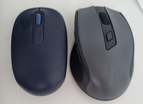 Mouse.jpg