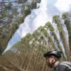 Avatar hr