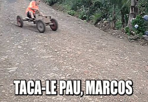 4482737-QHay7.jpg