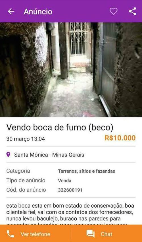 Imagem do comentário
