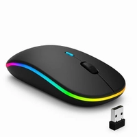 Mouse Sem Fio Recarregável Wireless Bluetooth Optico Led Rgb Colorido Ergonômico Usb 2.4 Ghz