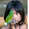 Avatar curumin_brasil