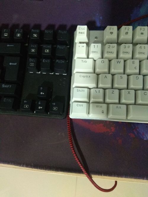 5543371-8vkGw.jpg