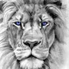 Avatar tamanduadosvouchers2115