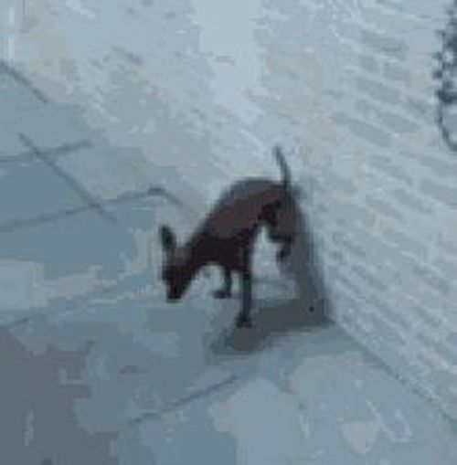 4309983.jpg