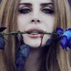 Avatar marina_ramos