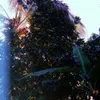 Avatar ue_lyric