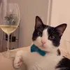 must4die